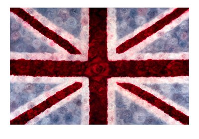 Union Rose by Lee Campbell